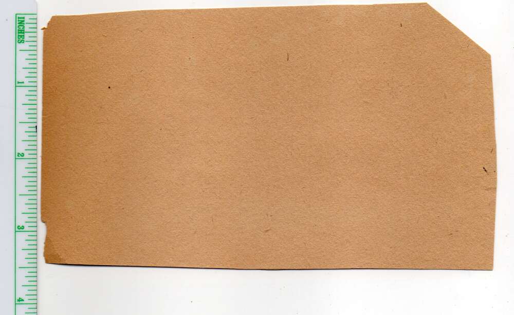 Buffalo New York Scott's Rink Roller Skating Girl Vintage Sticker AA109203 - Image 2