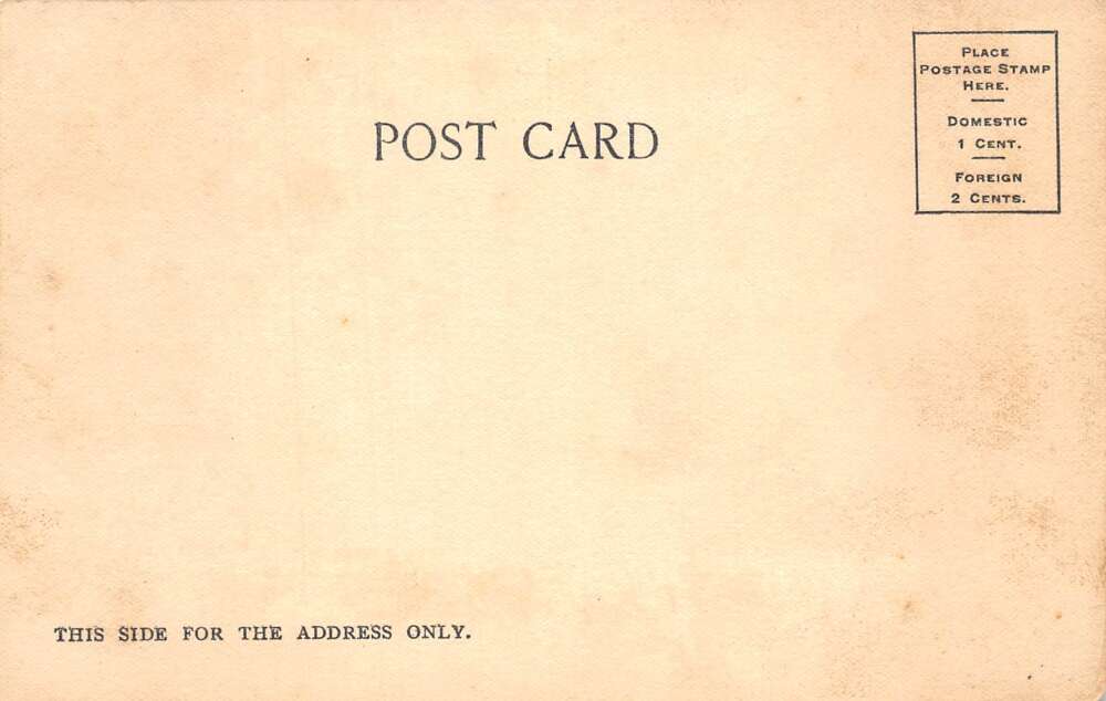 Asheville North Carolina Man in Wood Cart Vintage Postcard AA109524 - Image 2