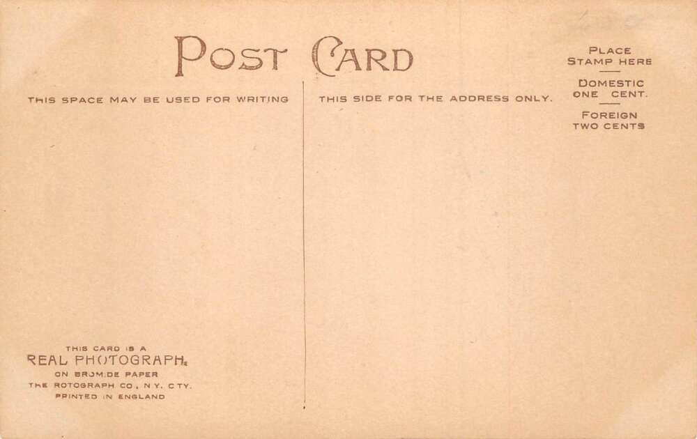 New Year Greetings 1910 Calendar with Kittens in Basket Postcard AA72162 - Image 2