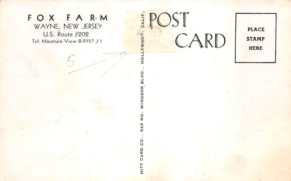 Wayne New Jersey Fox Farm Entertaining Bears Vintage Postcard AA72318 - Image 2