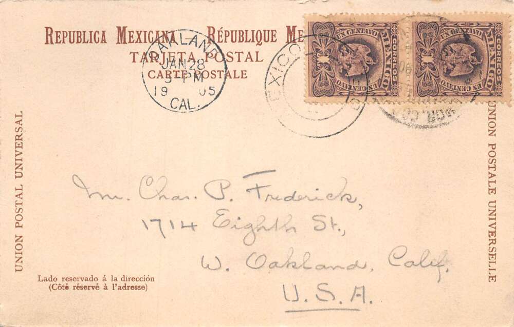 Mexico Tlachiquero Harvesting Agave Sap Vintage Postcard AA72340 - Image 2