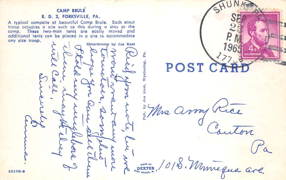 Forksville Pennsylvania Camp Brule Boy Scouts Vintage Postcard AA110041 - Image 2
