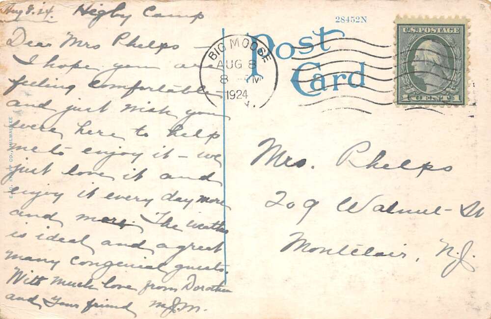 Big Moose New York Higby's Lawn Scenic View Vintage Postcard AA110097 - Image 2