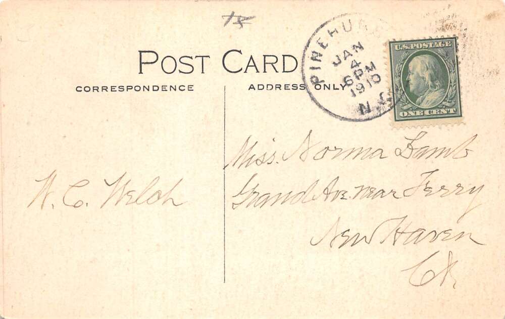 Pinehurst North Carolina Peacock Vintage Postcard AA110134 - Image 2