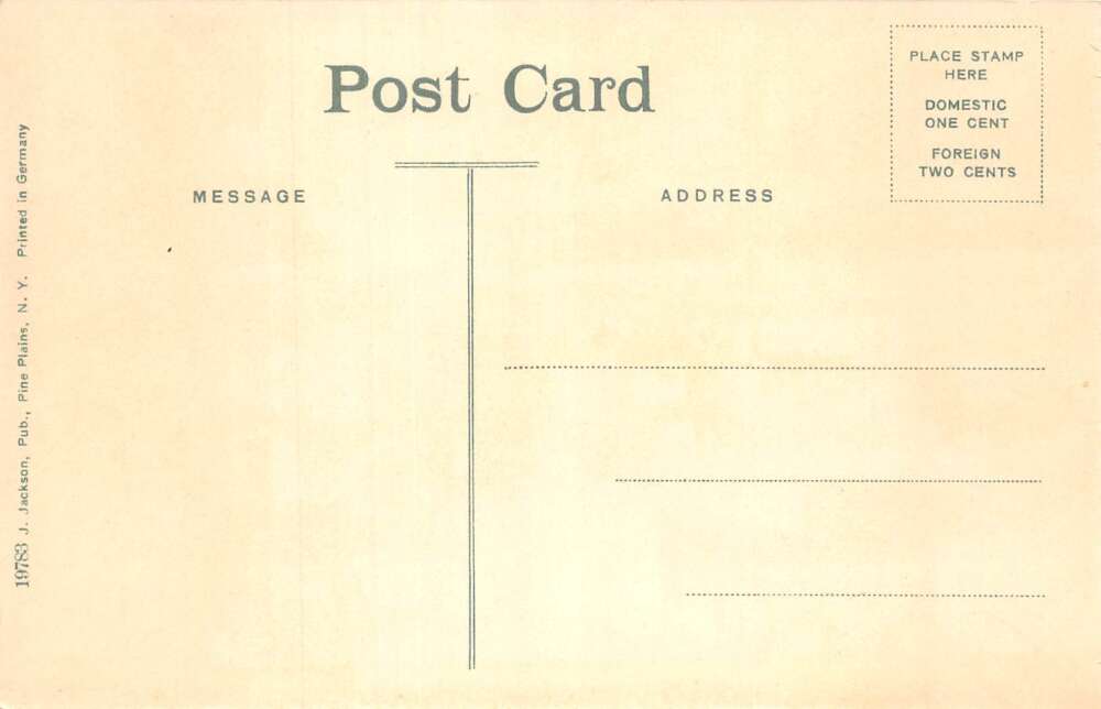 Pine Plains New York Briafcliff Farms Jersey Stock Cows Postcard AA110349 - Image 2