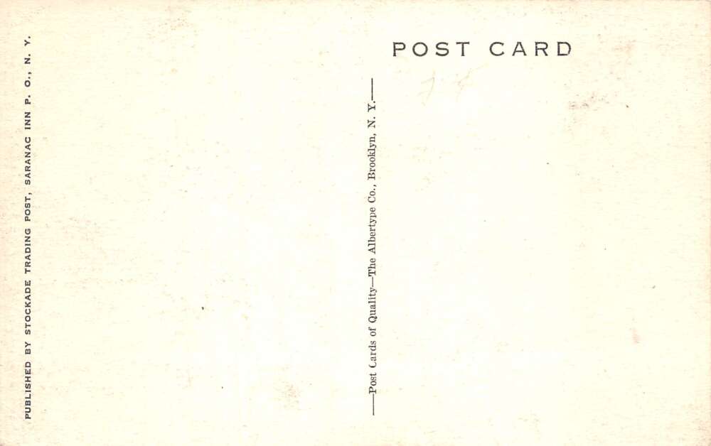 Adirondacks New York Fish Creek Camp Site Saranac Inn Vintage Postcard AA110477 - Image 2