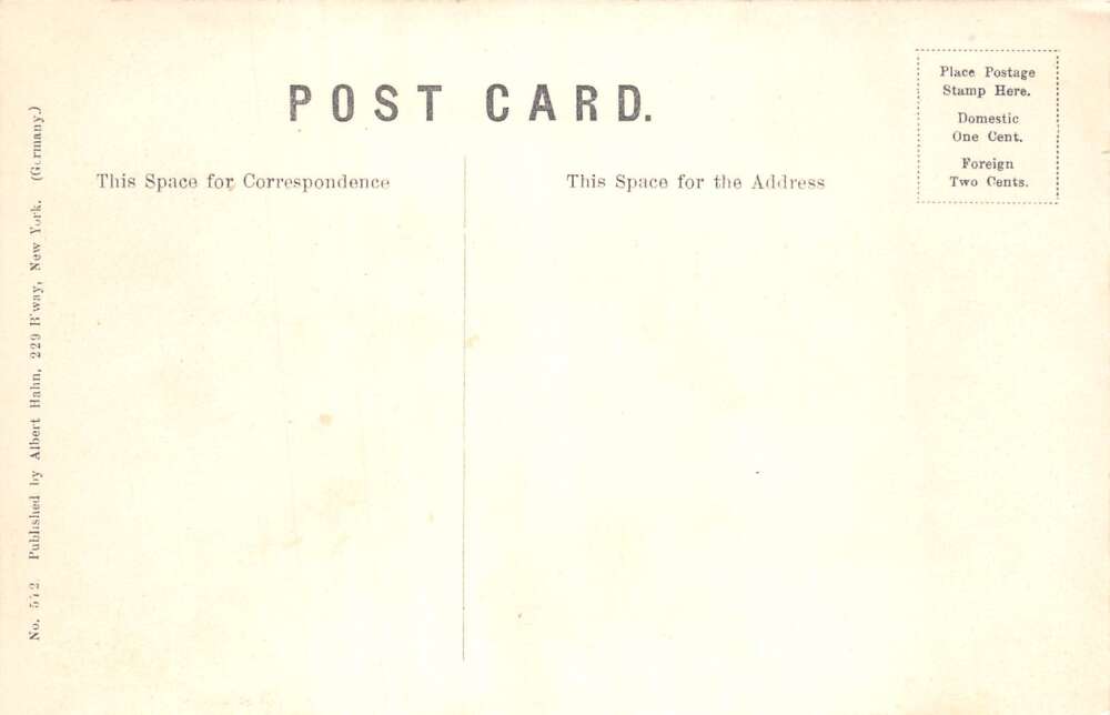 Catskill Mountains New York Perch Lake Scenic View Vintage Postcard AA110648 - Image 2