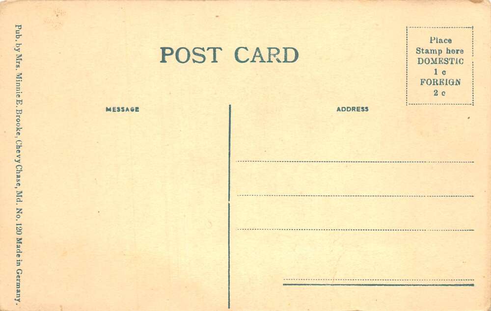 Washington DC Zoo Park Polar Bears Vintage Postcard AA110673 - Image 2