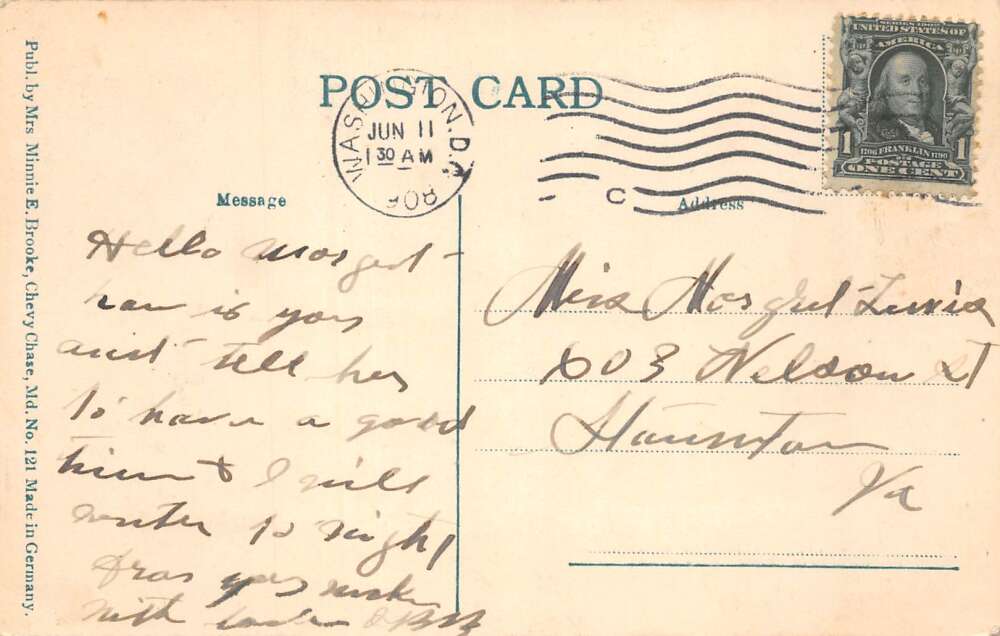 Washington DC Zoo Park Feeding Deer Vintage Postcard AA110675 - Image 2