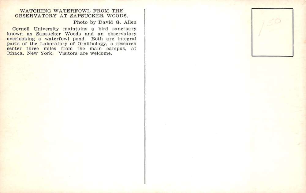 Ithaca New York Cornell University Bird Watching Vintage Postcard AA110692 - Image 2