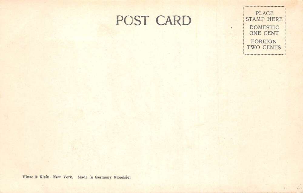 New York City Williamsburgh Bridge City Hall Vintage Postcard AA111517 - Image 2