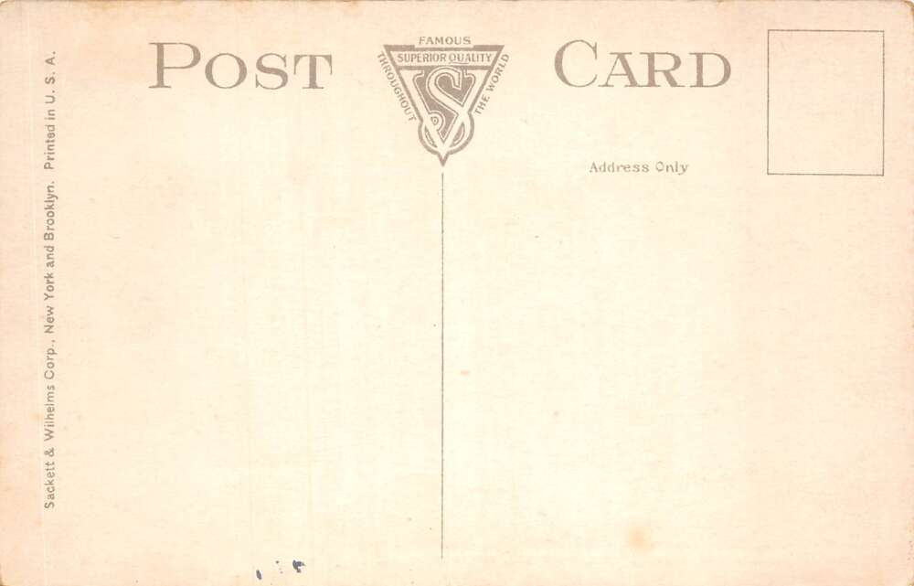 Petersburg Virginia Camp Lee Passing the Medicine Ball Vintage Postcard AA111732 - Image 2