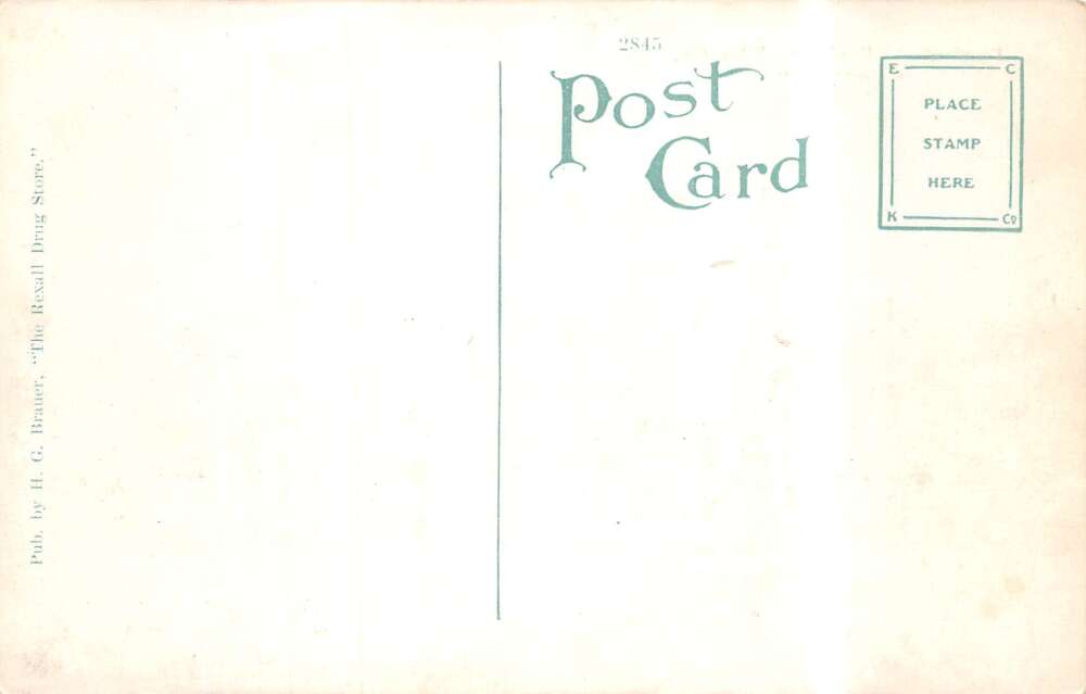 Kaukauna Wisconsin Kaukauna Fibre Co Plant Logging Scene Postcard AA111775 - Image 2