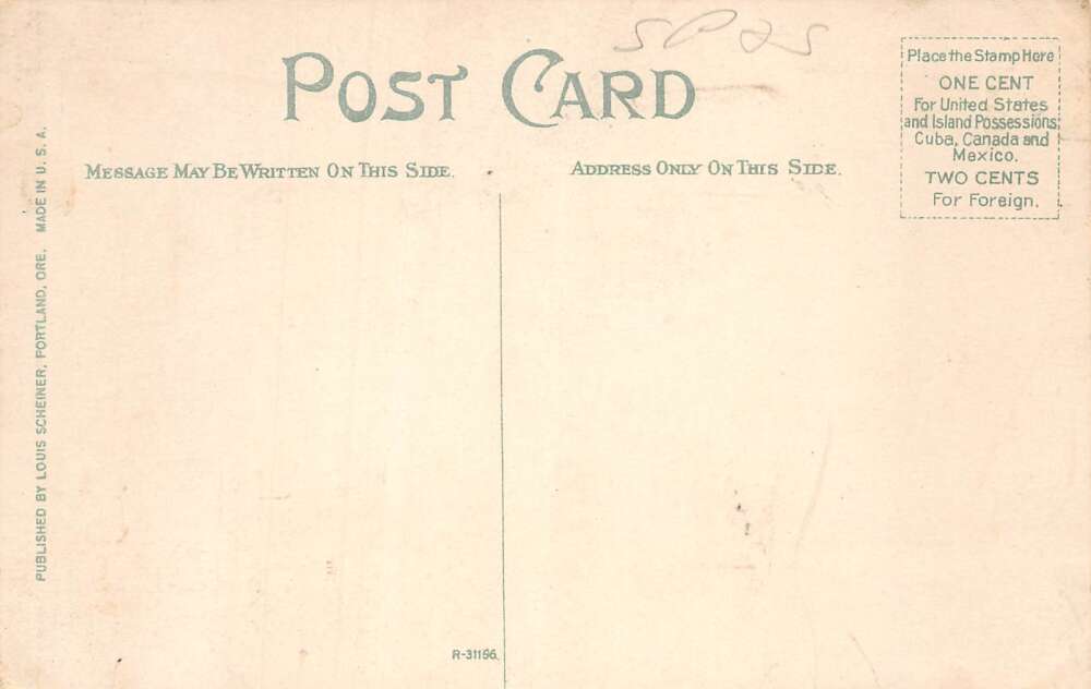 Collins Washington Hot Springs Log Cabin Train Station Vintage Postcard AA111972 - Image 2