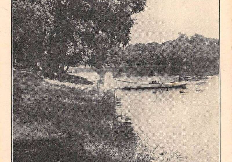 PFU ScanSnap Manager #iX500