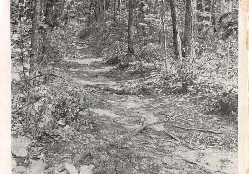 PFU ScanSnap Manager #iX500