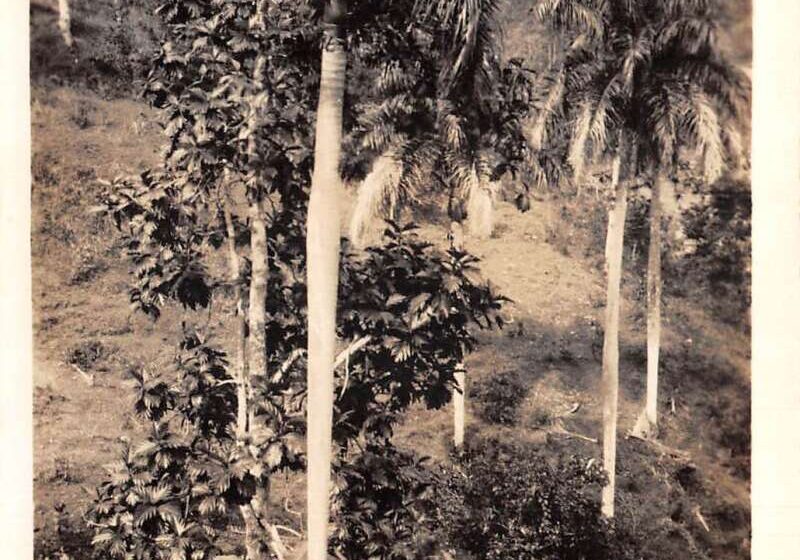 PFU ScanSnap Manager #iX500