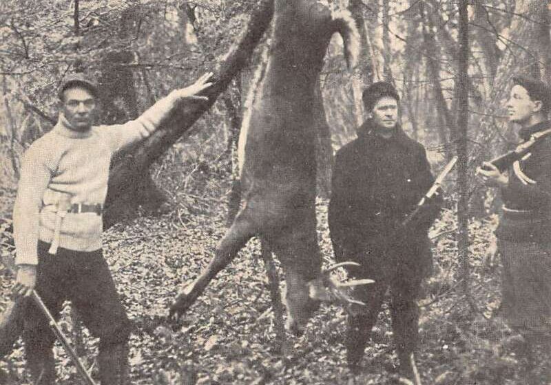 PFU ScanSnap Manager #iX500