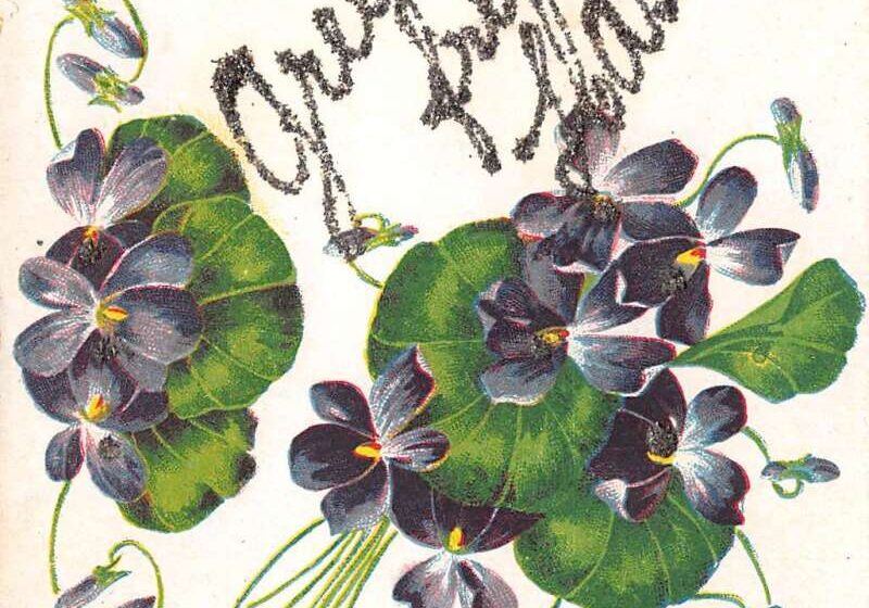 PFU ScanSnap Manager #iX500