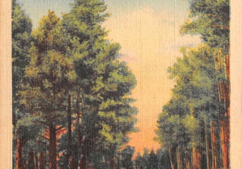 PFU ScanSnap Manager #iX500