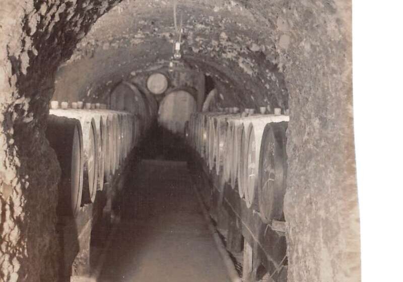 PFU ScanSnap Manager #iX500