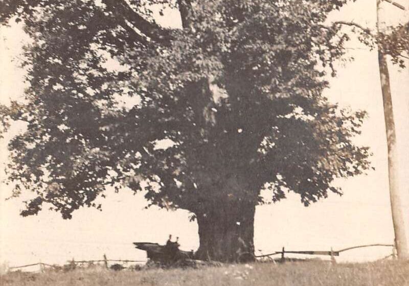 PFU ScanSnap Manager #iX500